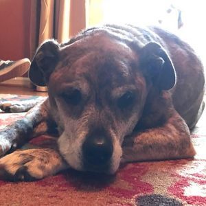 Meet your Posher, Tonya